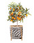 Korg Bamboo Plant stor